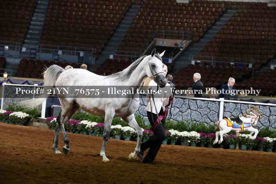 Proof 21YN_76575
