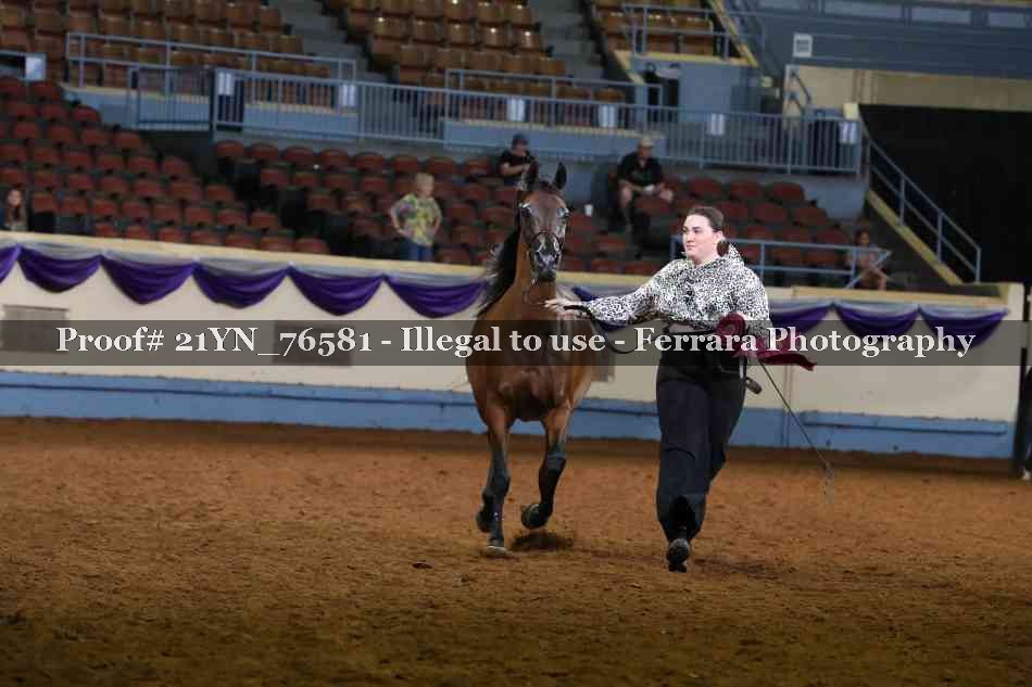 Proof 21YN_76581