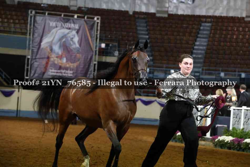 Proof 21YN_76585
