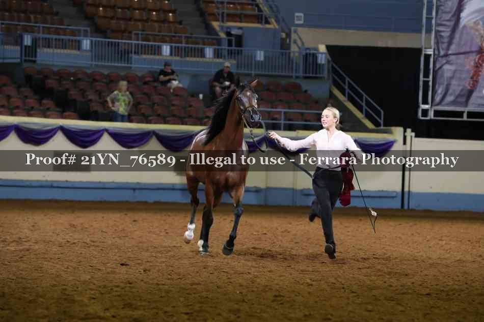 Proof 21YN_76589