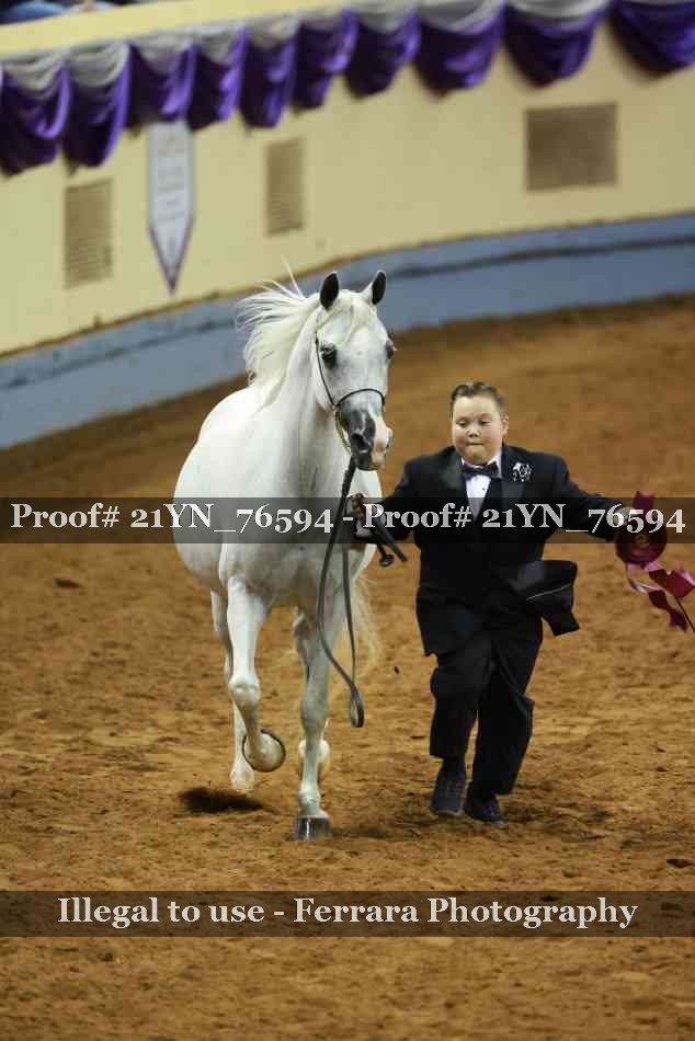 Proof 21YN_76594