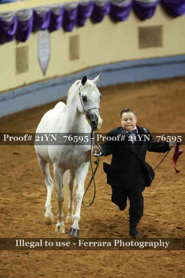 Proof 21YN_76595