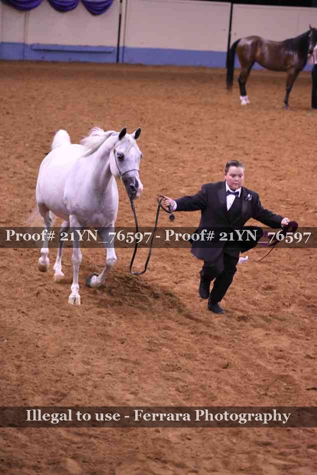 Proof 21YN_76597
