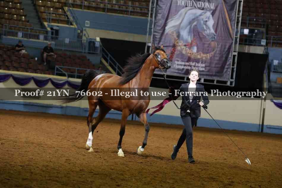 Proof 21YN_76602