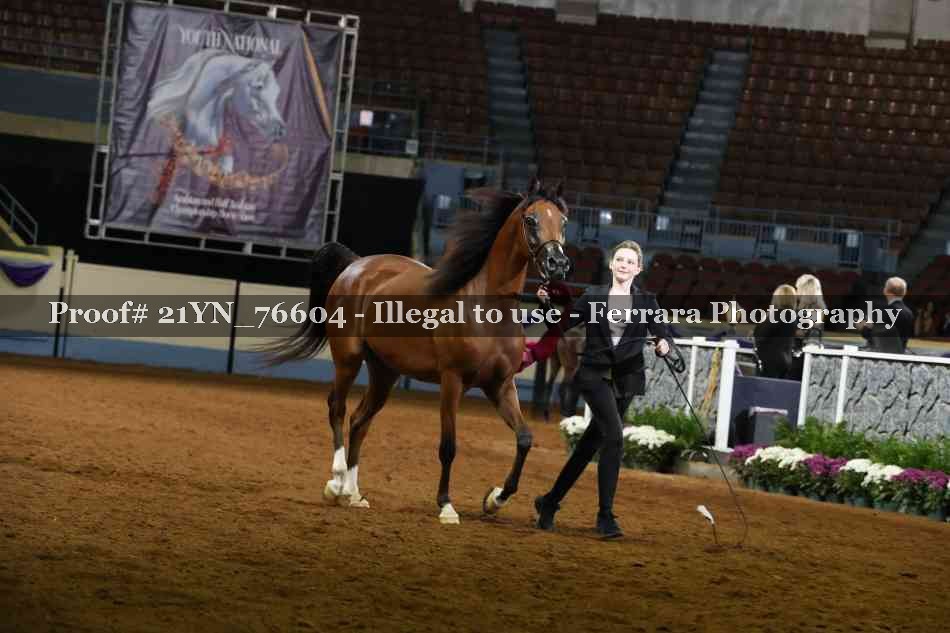 Proof 21YN_76604