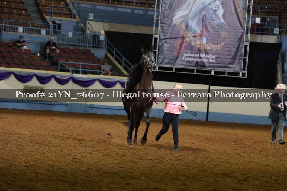 Proof 21YN_76607