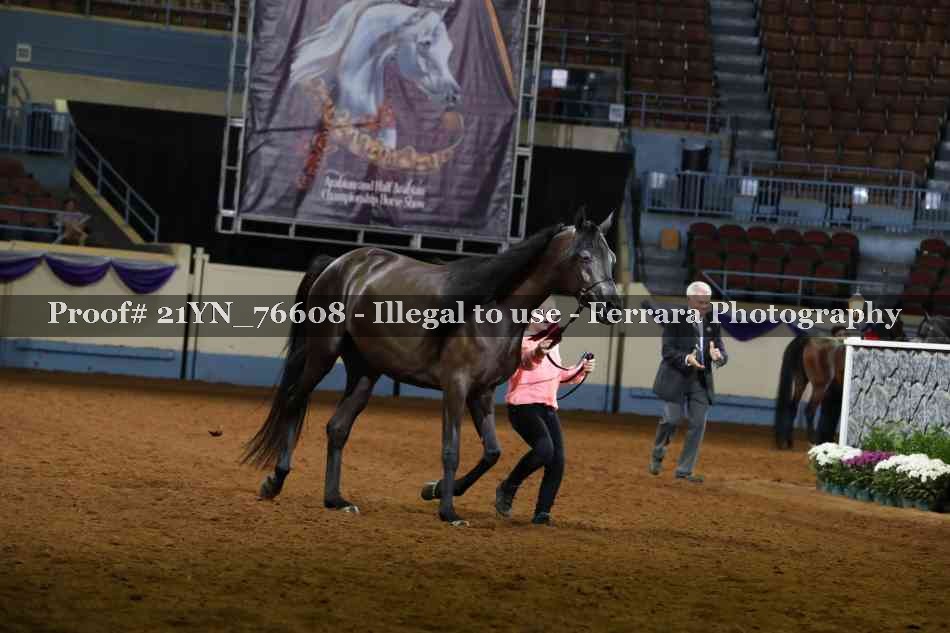 Proof 21YN_76608