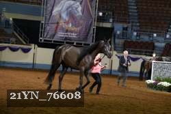 21YN_76608 proof