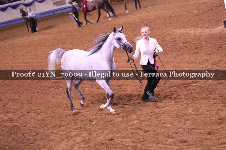 Proof 21YN_76609