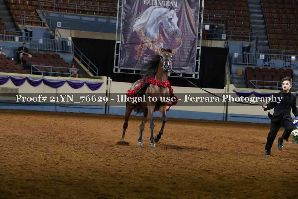 Proof 21YN_76629