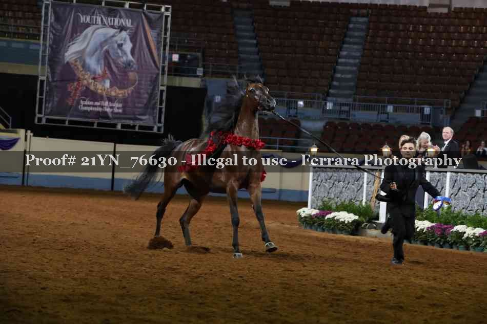 Proof 21YN_76630
