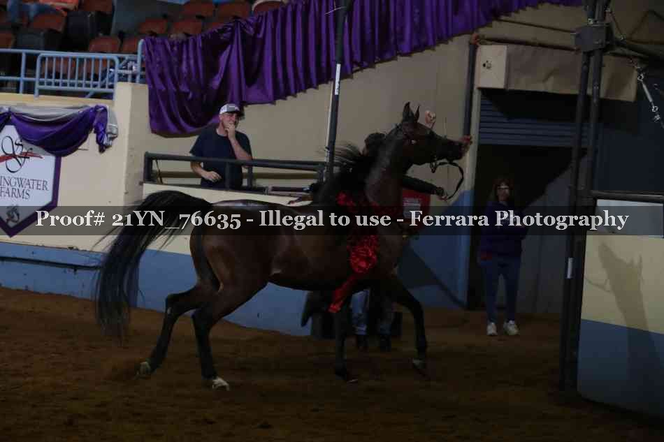 Proof 21YN_76635