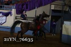 21YN_76635 proof