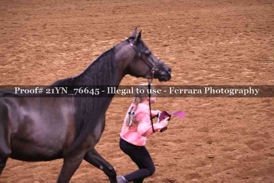 Proof 21YN_76645