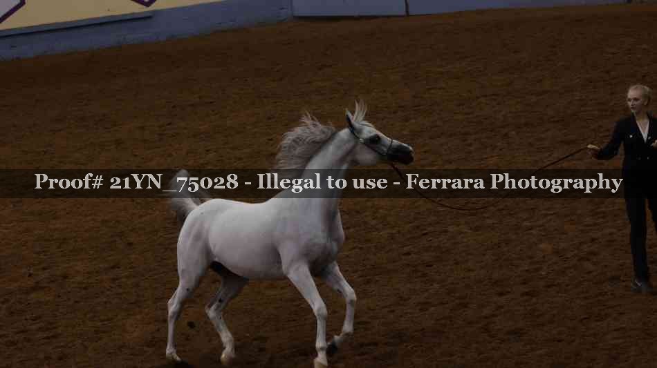 Proof 21YN_75028