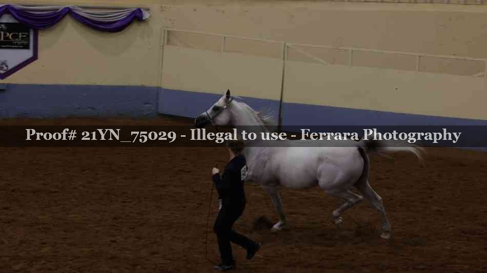 Proof 21YN_75029