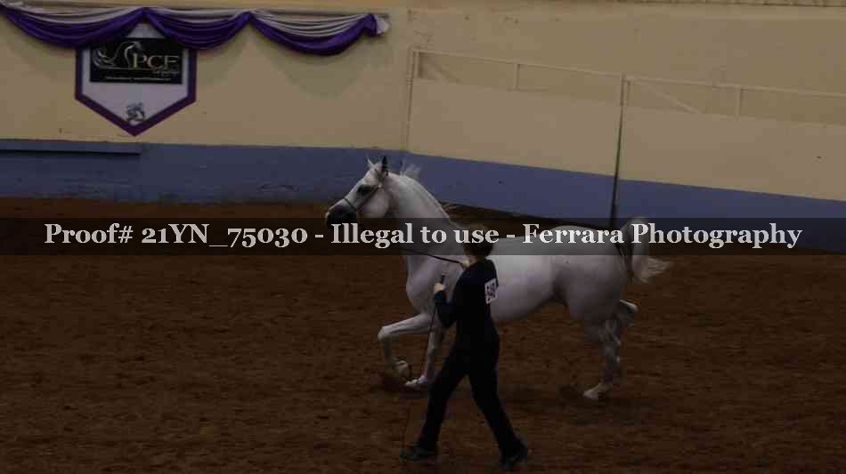 Proof 21YN_75030