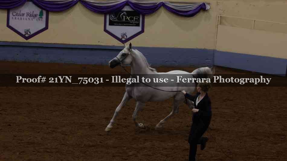 Proof 21YN_75031