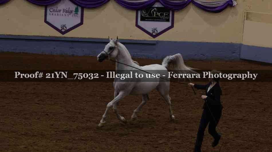 Proof 21YN_75032