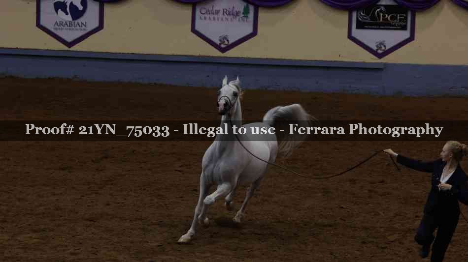 Proof 21YN_75033