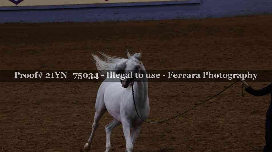 Proof 21YN_75034