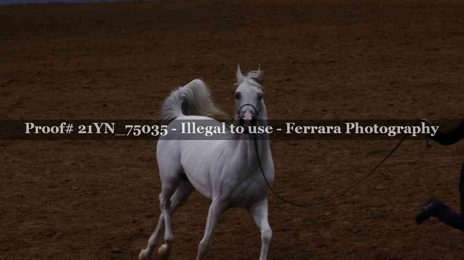 Proof 21YN_75035
