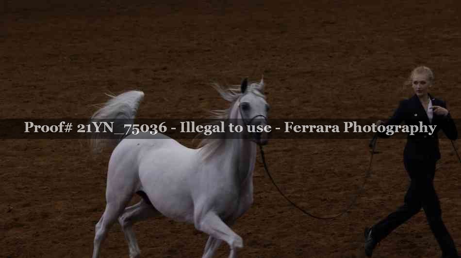Proof 21YN_75036