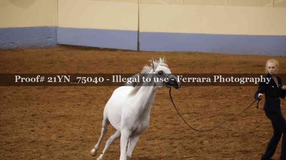 Proof 21YN_75040