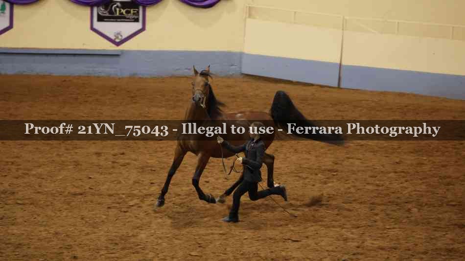 Proof 21YN_75043