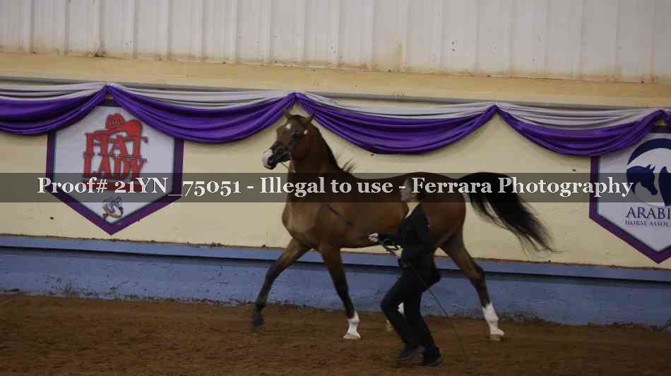 Proof 21YN_75051