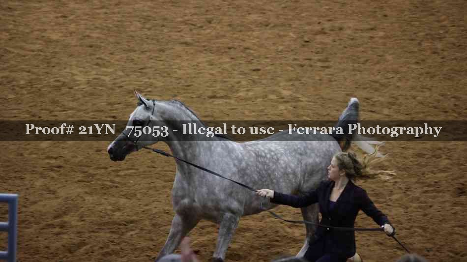 Proof 21YN_75053