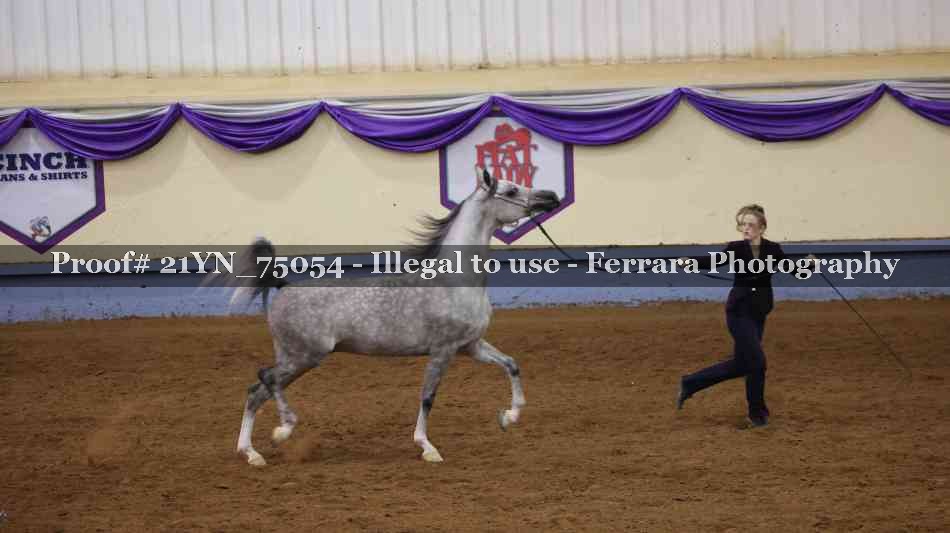 Proof 21YN_75054