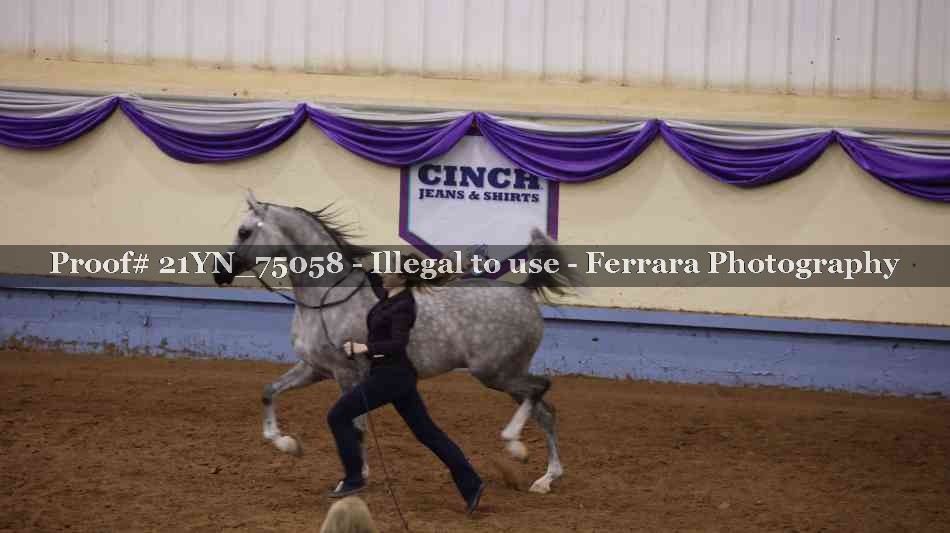 Proof 21YN_75058