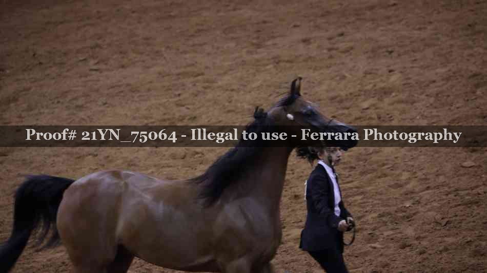 Proof 21YN_75064