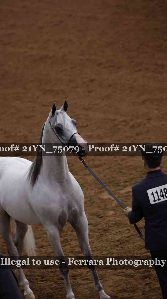Proof 21YN_75079