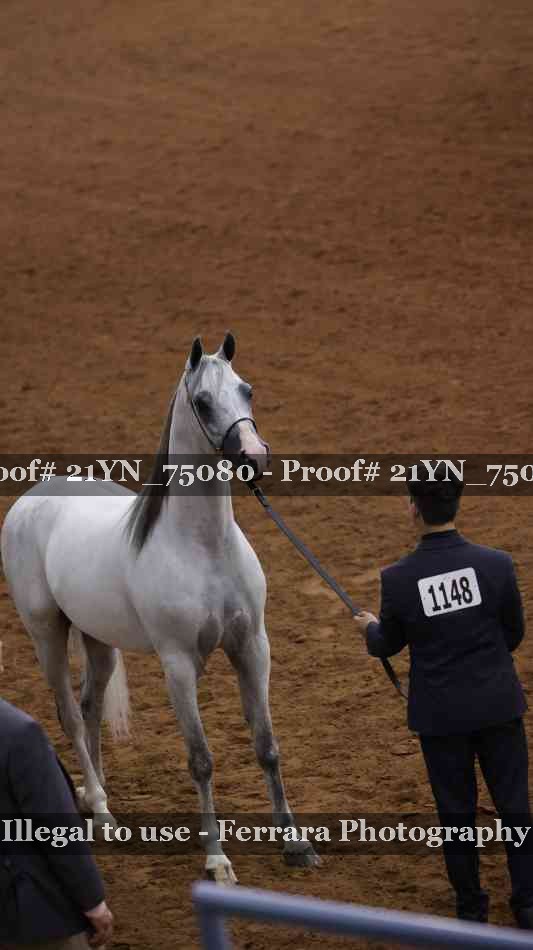 Proof 21YN_75080