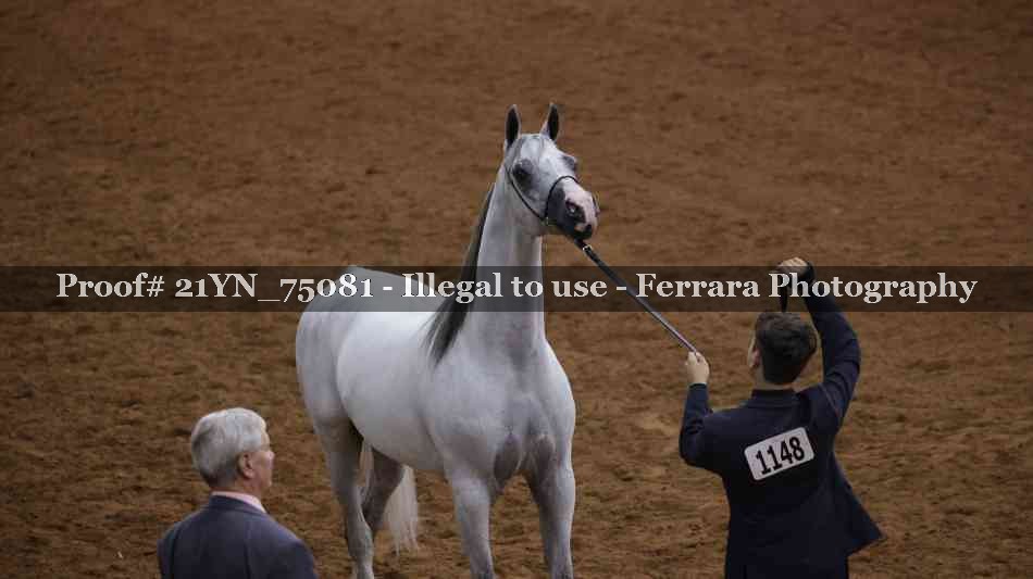 Proof 21YN_75081