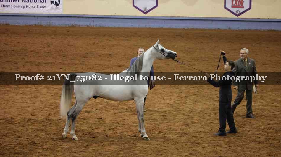 Proof 21YN_75082