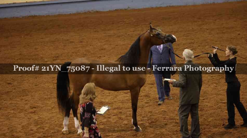 Proof 21YN_75087