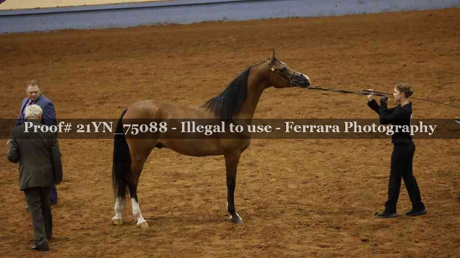 Proof 21YN_75088