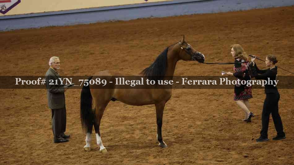 Proof 21YN_75089