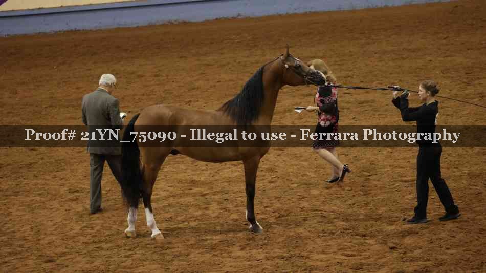 Proof 21YN_75090