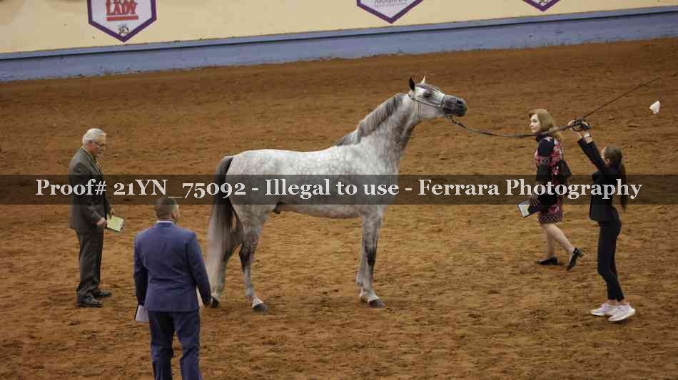 Proof 21YN_75092