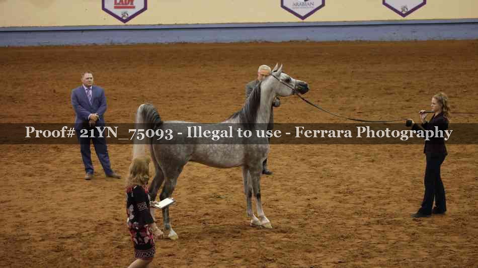 Proof 21YN_75093
