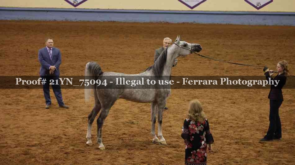 Proof 21YN_75094