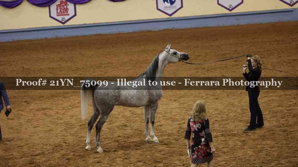 Proof 21YN_75099