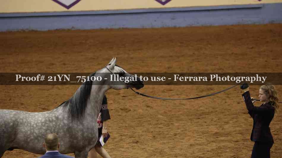 Proof 21YN_75100