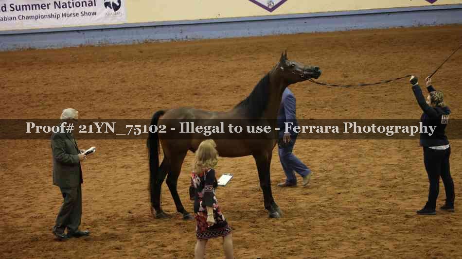Proof 21YN_75102