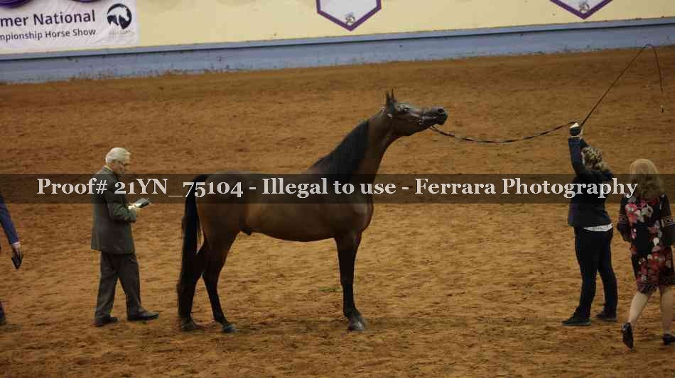 Proof 21YN_75104
