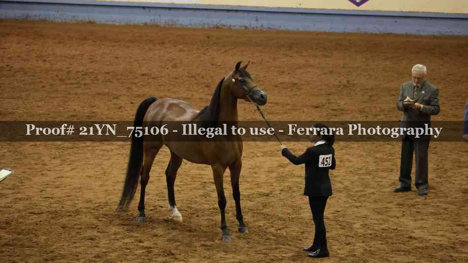 Proof 21YN_75106